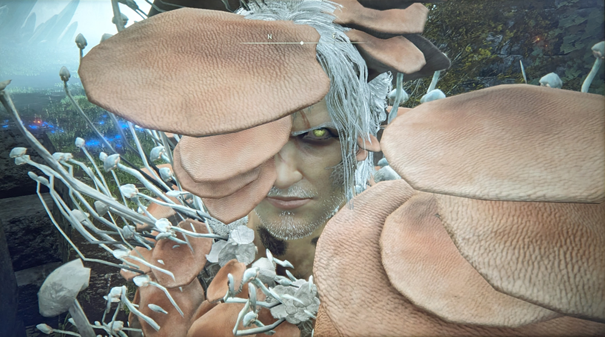Elden Ring Screenshot 6