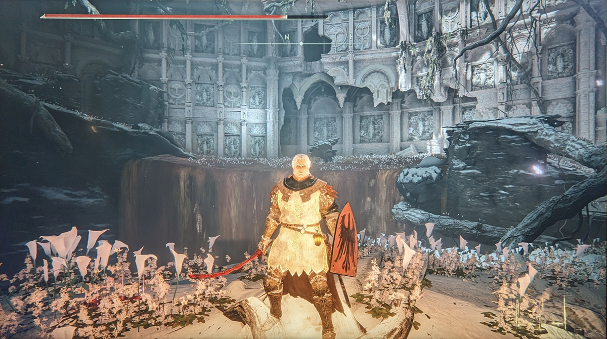 Elden Ring Screenshot 5