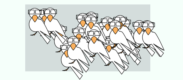 bird_click_game