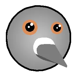 avatar_img
