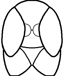 avatar_img