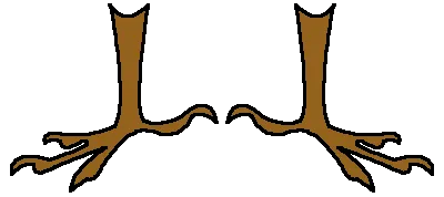 avatar_img