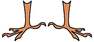 avatar_img