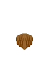 avatar_img