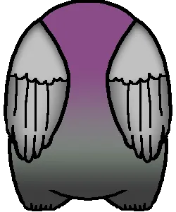 avatar_img