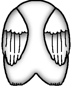 avatar_img