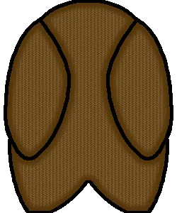 avatar_img