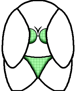 avatar_img